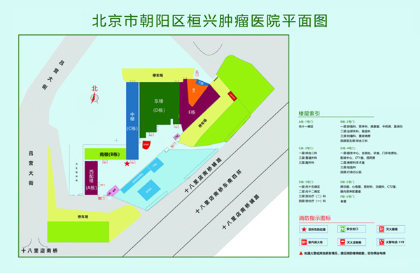 大鸡八床戏影片北京市朝阳区桓兴肿瘤医院平面图